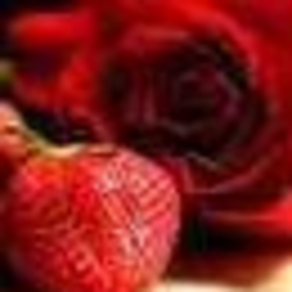 Meet your Posher, Traci